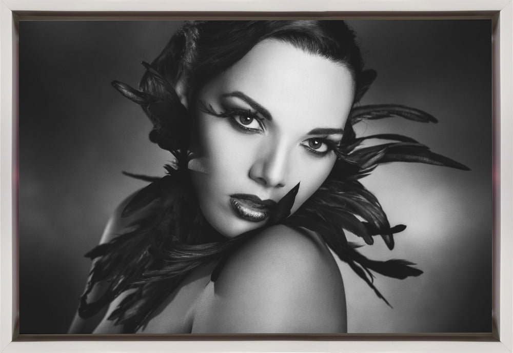 Wall art The black feathers