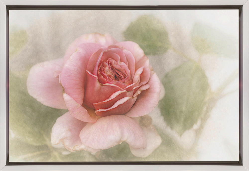 Wall Art smooth rose