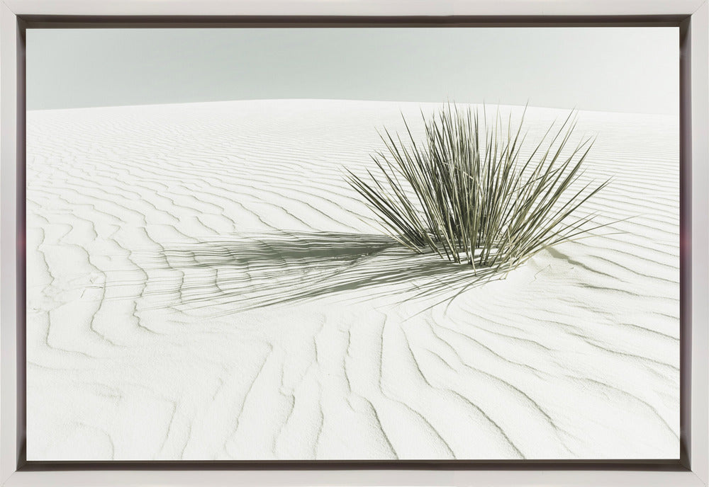 Wall art WHITE SANDS Vintage Dune