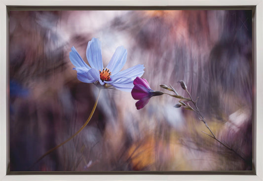 Wall art Le rendez vous