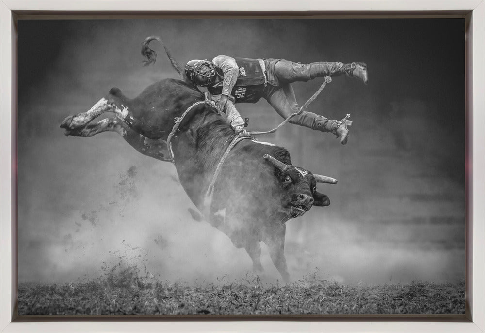 Wall Art Keeping Balance