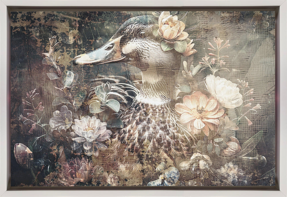 Wall art Duck Animal Vintage Art Illustration Wallart 06