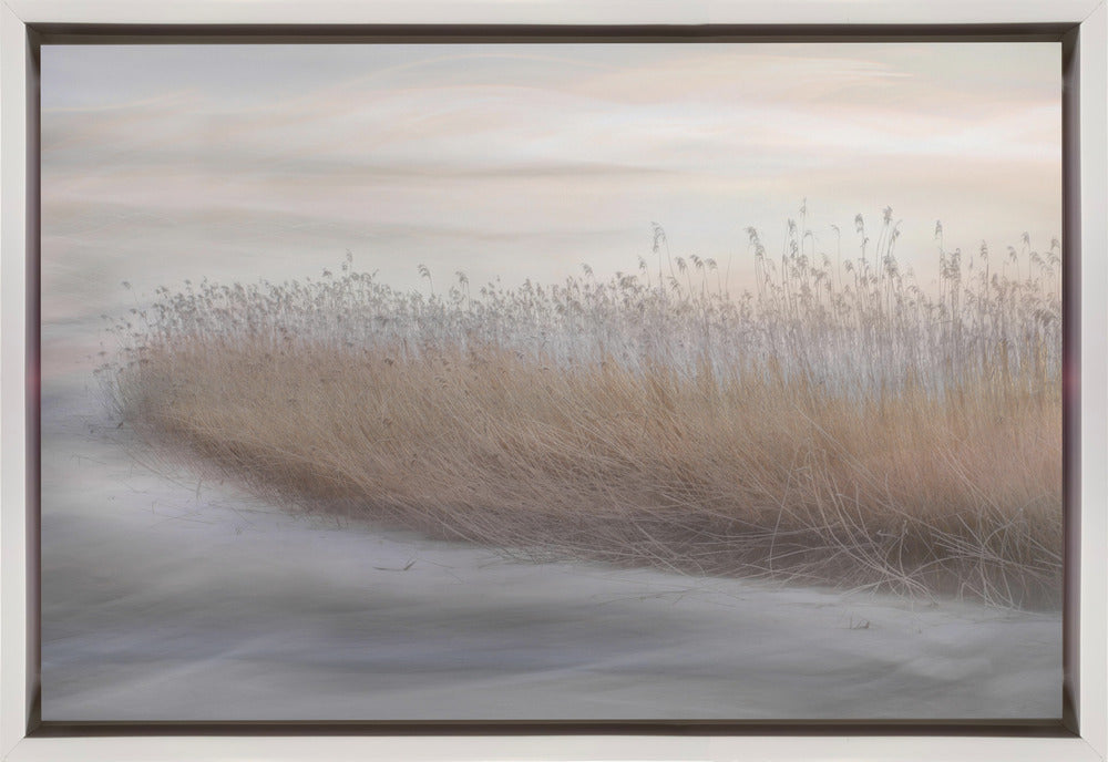 Wall art Winter Reed