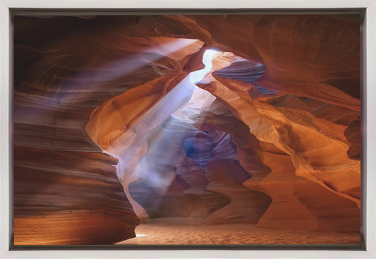 Wall art Pure Photodelight  2