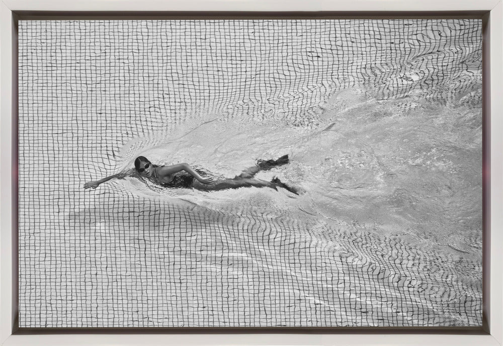 Wall art Breaking the net Canvas Print