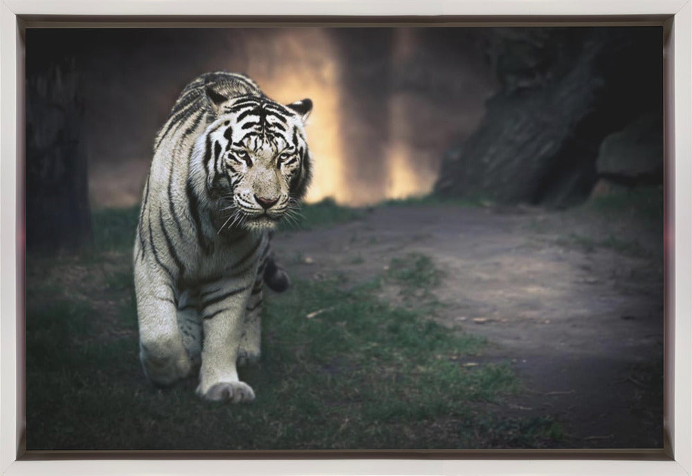 Wall art White walker