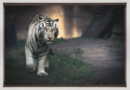 Wall art White walker