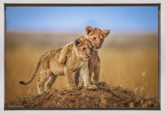 Wall Art Brothers for Life