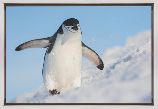Wall art Running up that hill