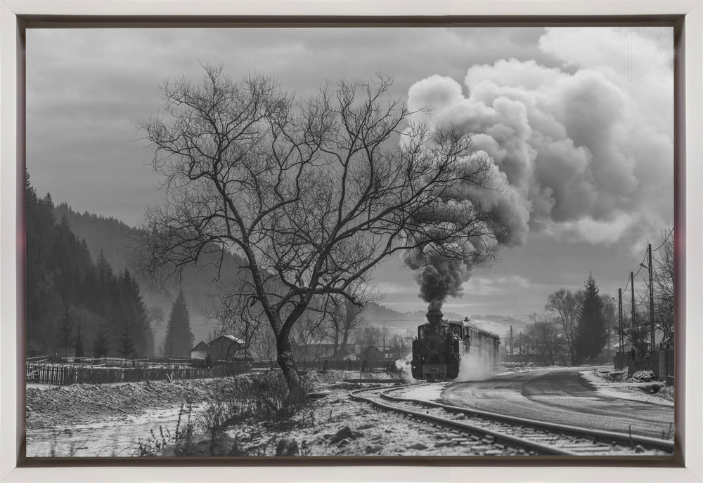 Wall art Mocanita Hutulca