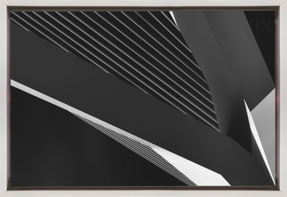 Wall art Abstraction of a swan