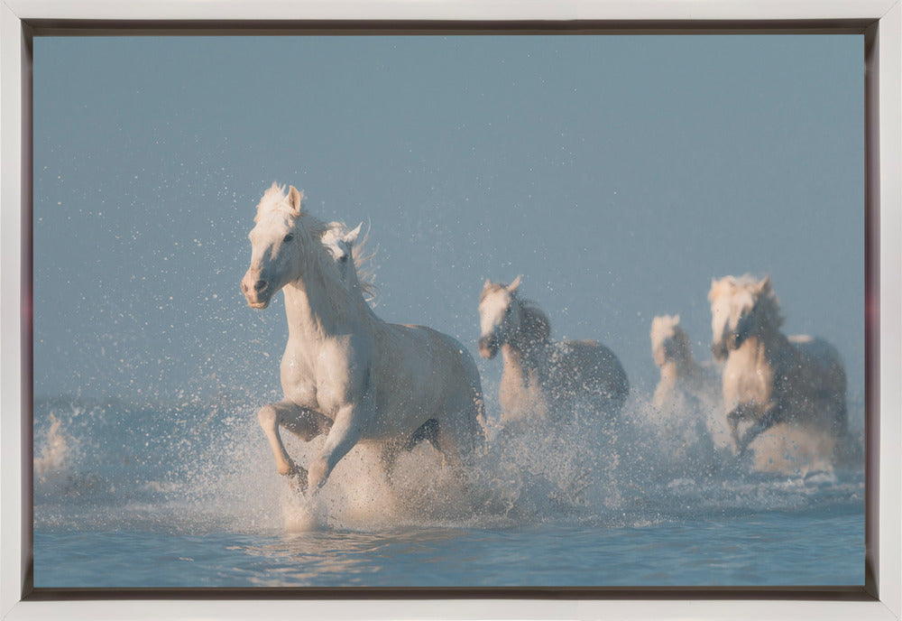 Wall art Angels of Camargue. Horse