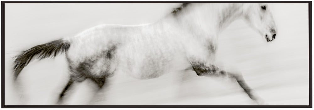 Wall art The unique brush stroke