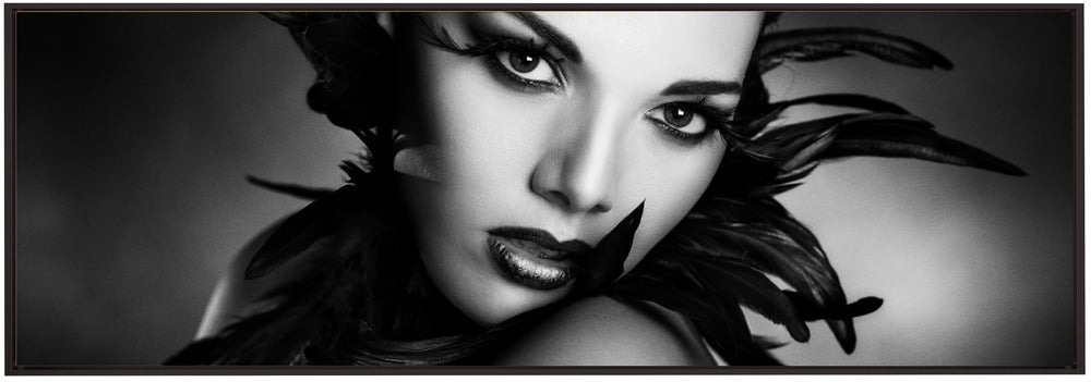 Wall art The black feathers