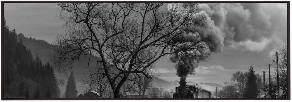 Wall art Mocanita Hutulca