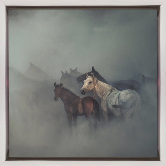 Wall art The lost horses