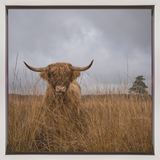 Wall art It wasn't me