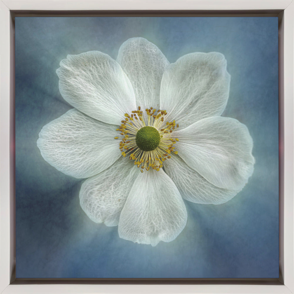 Wall Art Princes Anne-Mone