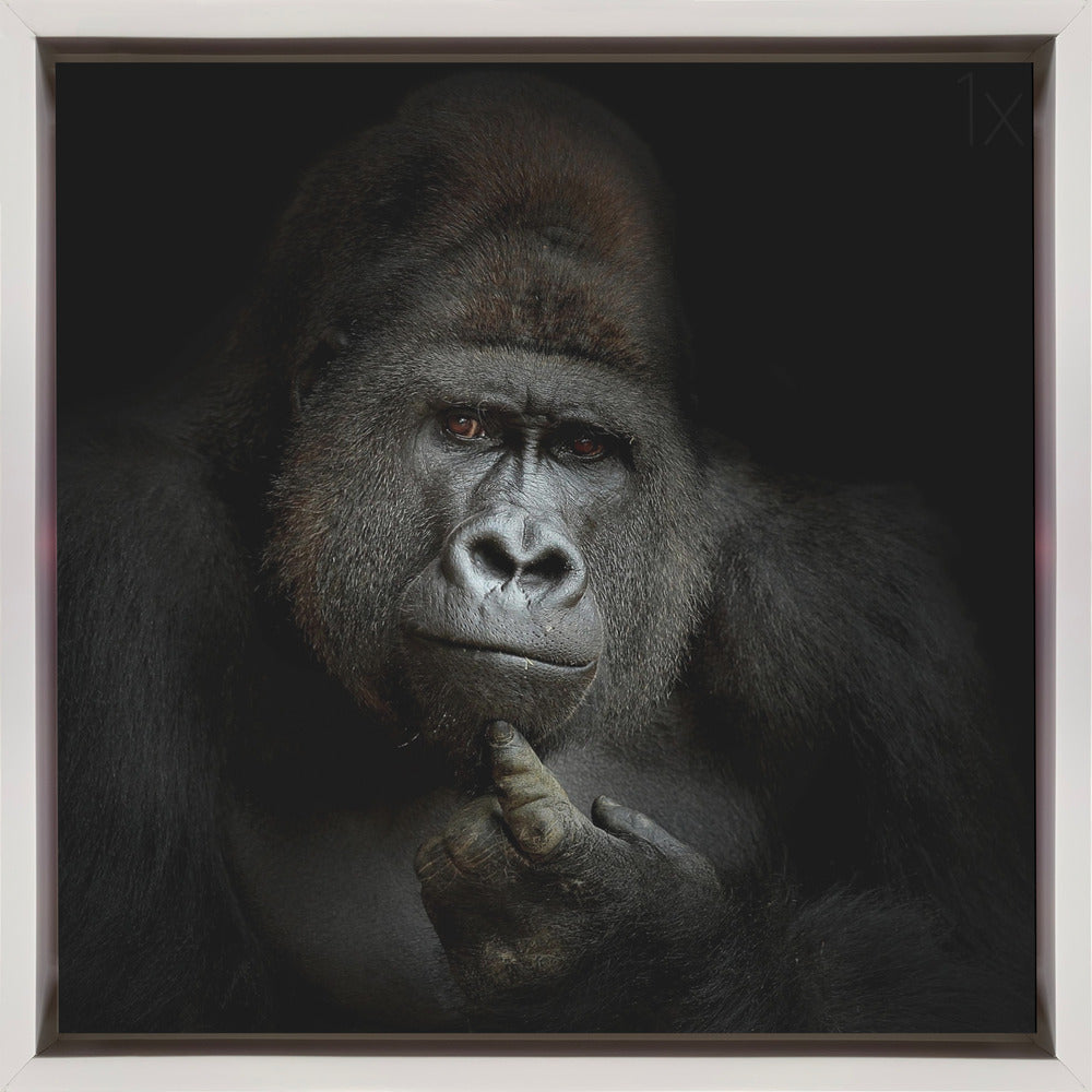 Wall Art ego cogito, ergo sum