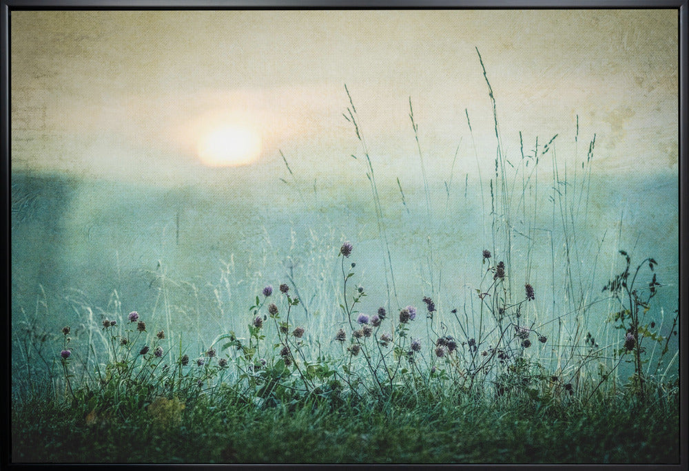 Wall Art Autumn sunrise