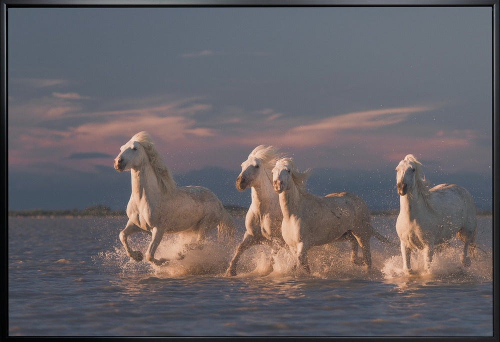 Wall art Angels of Camargue. Horses