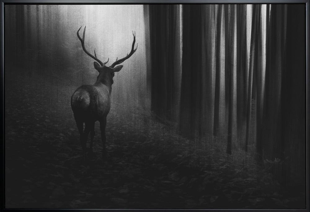 Wall art Stag. Deer