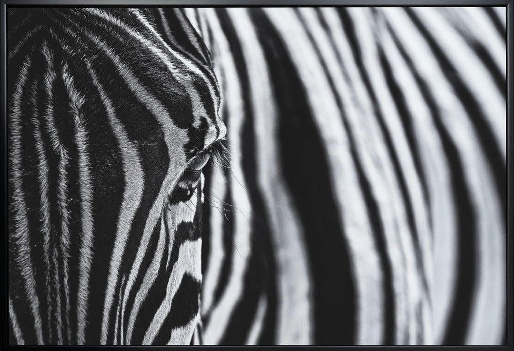 Wall art The look of nature