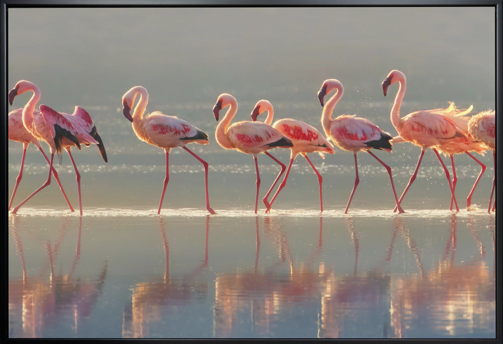 Wall art Flamingo Landscape
