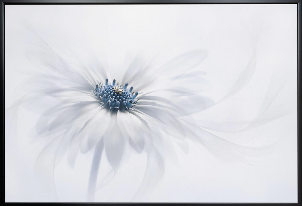 Wall art Serenity. Floral