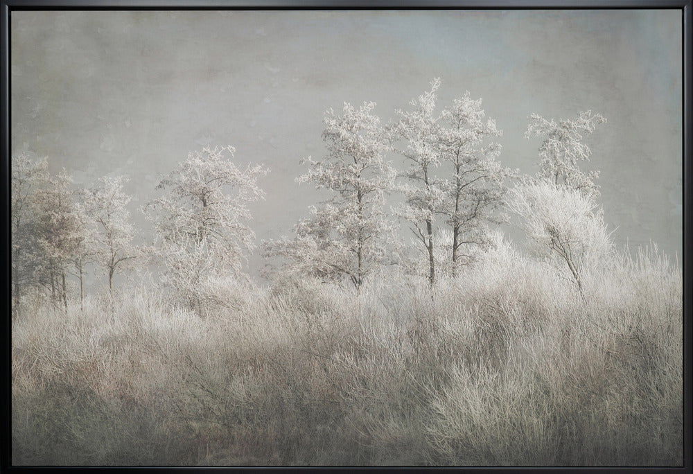 Wall art Cold morning