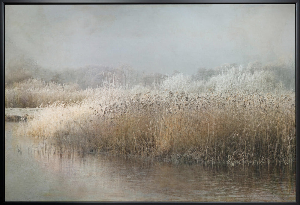 Wall art Wintermorning