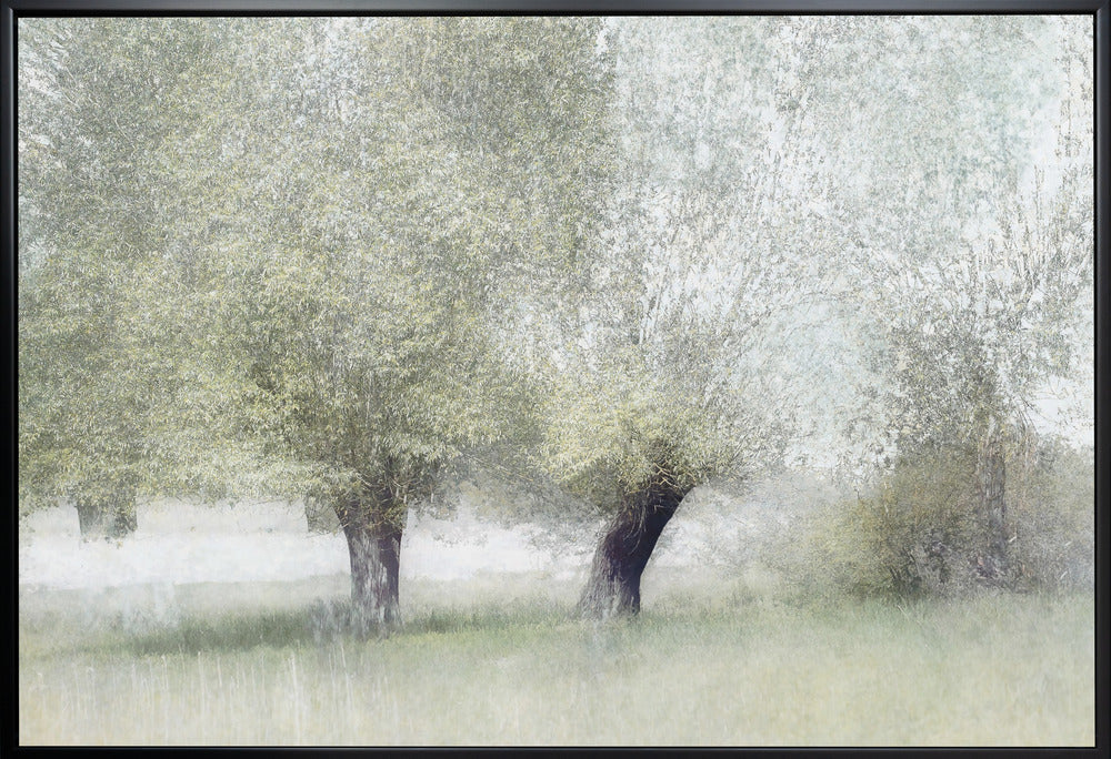 Wall art Young green