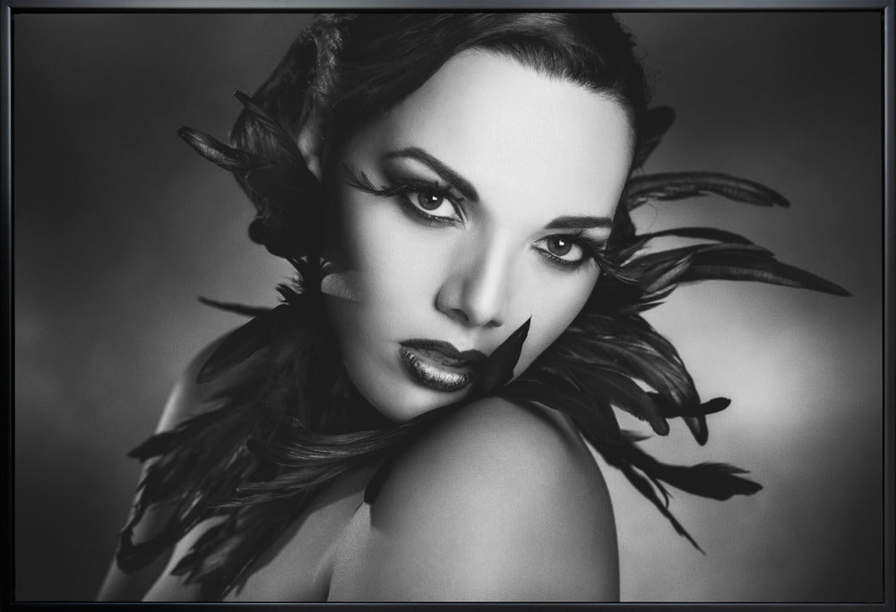 Wall art The black feathers