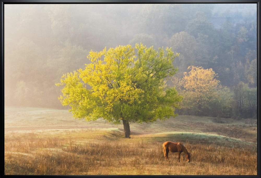 Wall art Tree of Life
