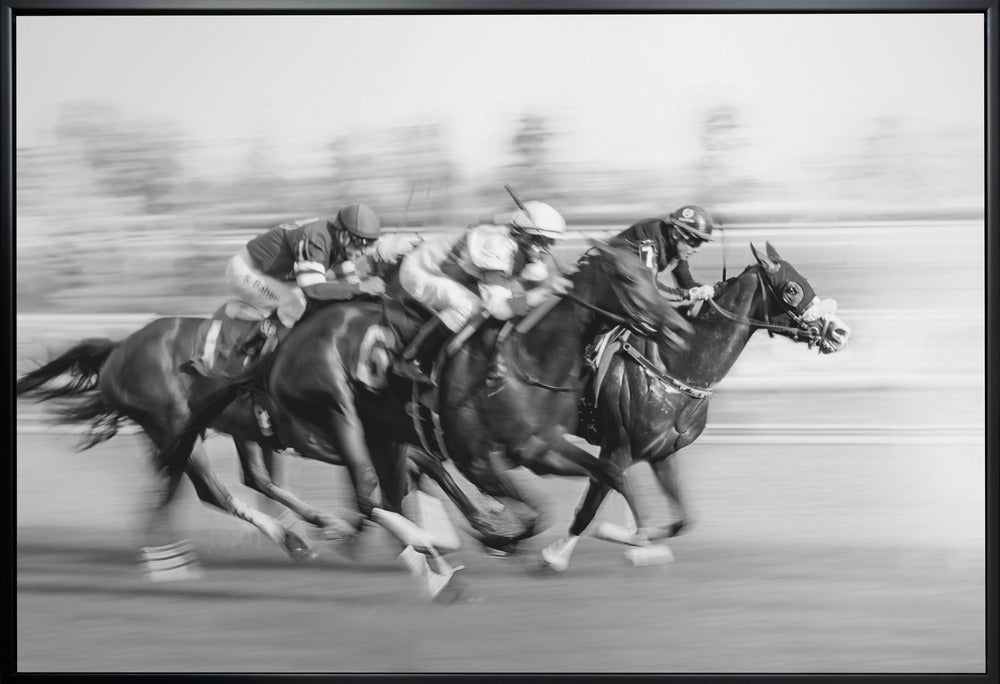 Wall art Horse Racing @ Queen's Plate