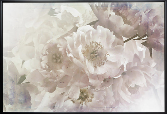 Wall Art Ombre033flower