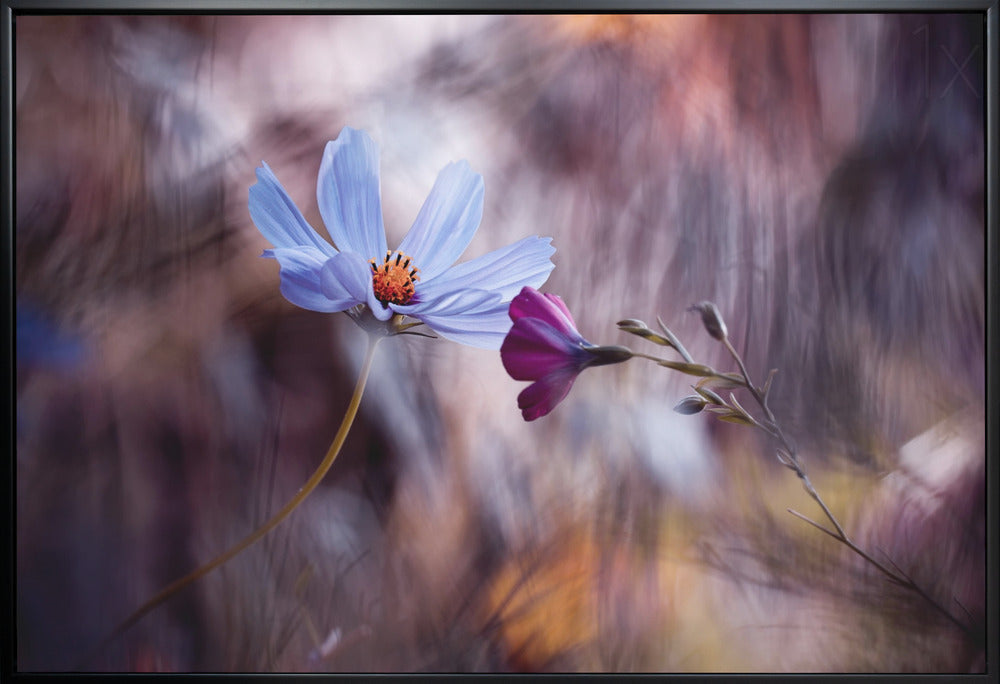 Wall art Le rendez vous