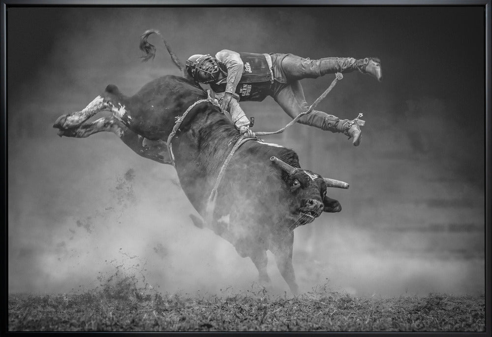 Wall Art Keeping Balance