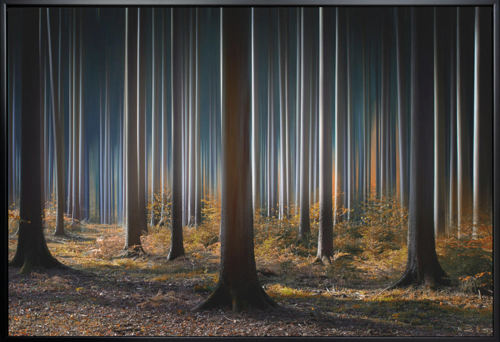 Wall art Mystic Wood