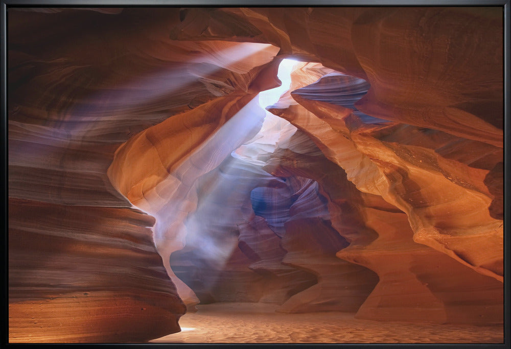 Wall art Pure Photodelight  2