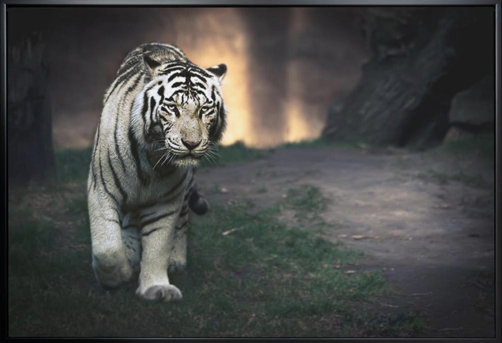 Wall art White walker