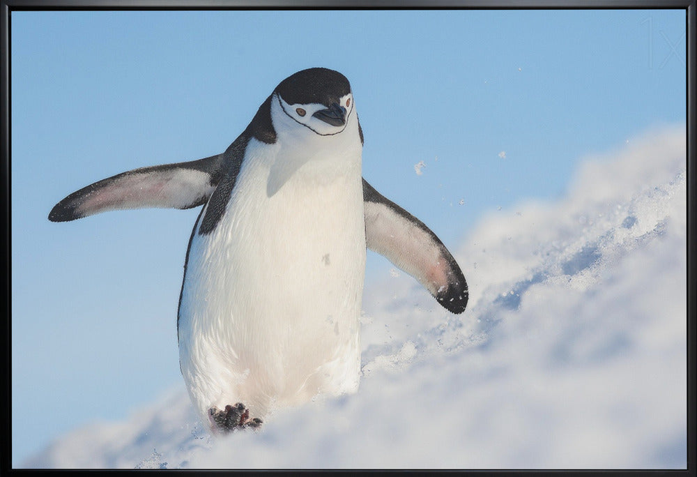 Wall art Running up that hill