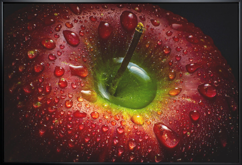 Wall art Red Apple. Food