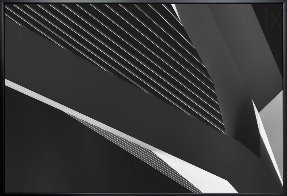 Wall art Abstraction of a swan