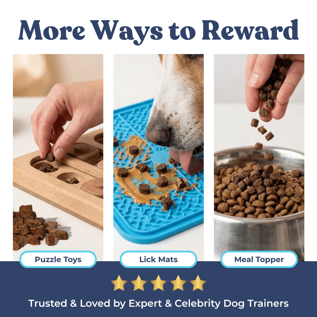 Salmon Mini Training Treats