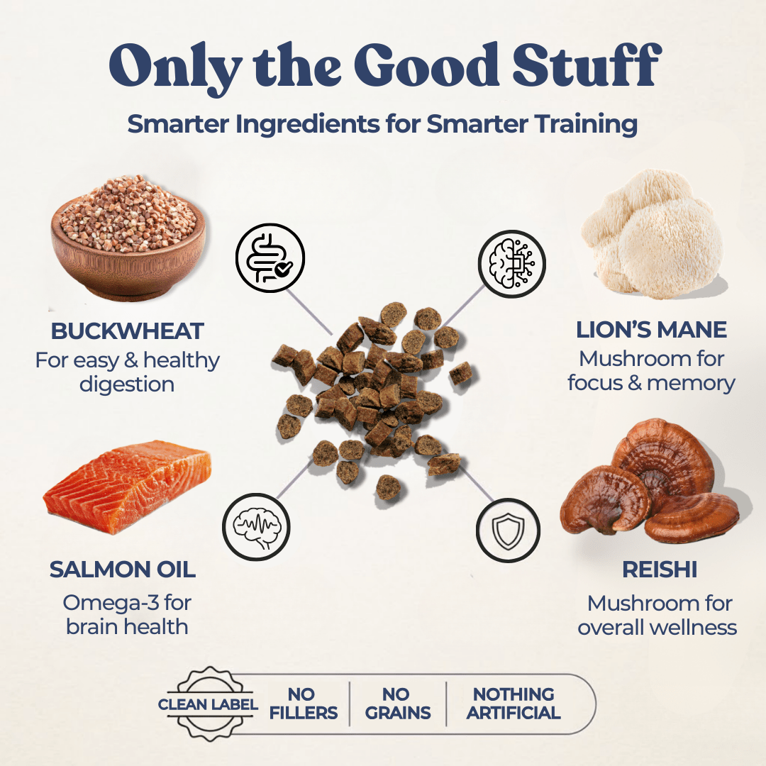 Beef Mini Training Treats