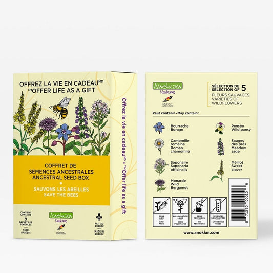 Coffret de semences de fleurs mellifères | Sauvons les abeilles