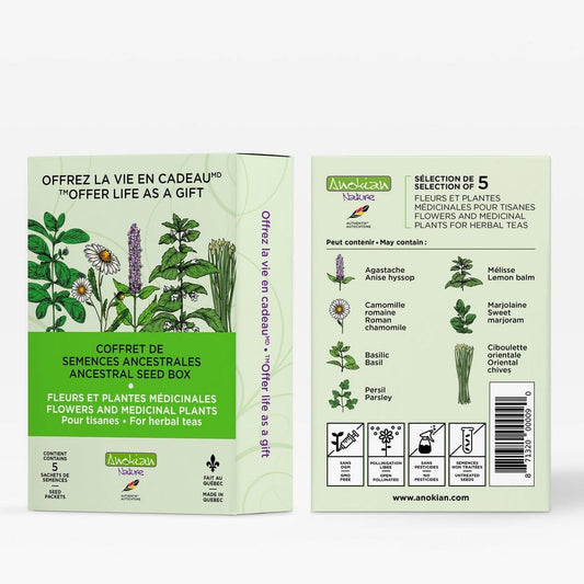 Coffret de semences de fleurs et plantes médicinales