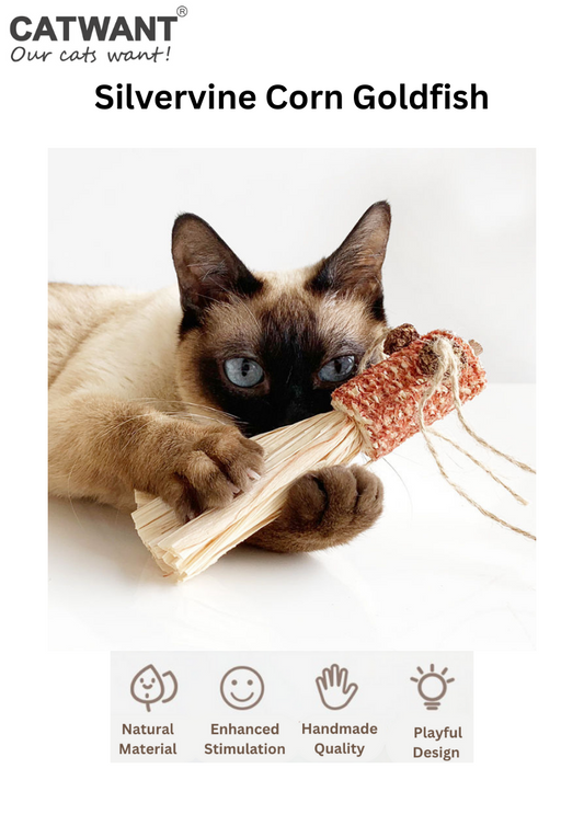 Silvervine Corn Goldfish