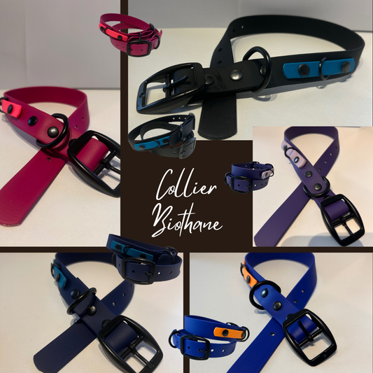 Collier en Biothane pour chien- Fait Main au Québec